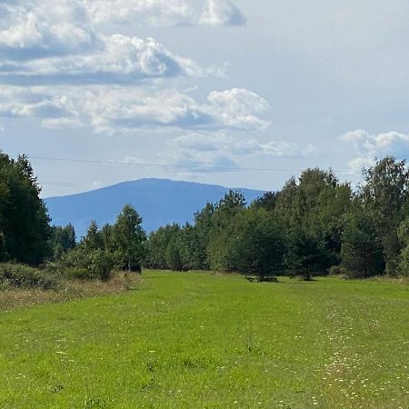 Góralskie Domki u Topora Vila Czarny Dunajec Exterior foto