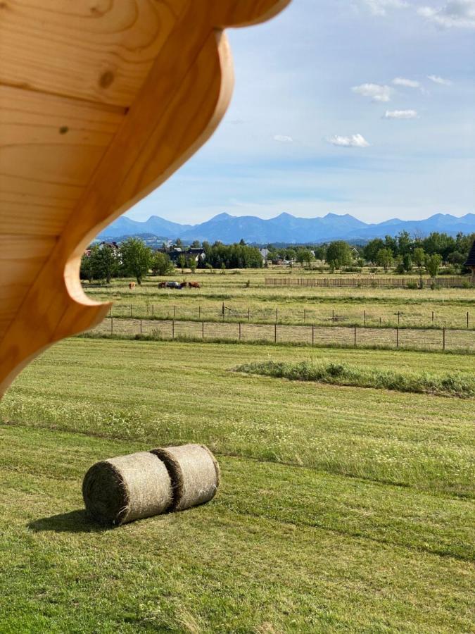 Góralskie Domki u Topora Vila Czarny Dunajec Exterior foto